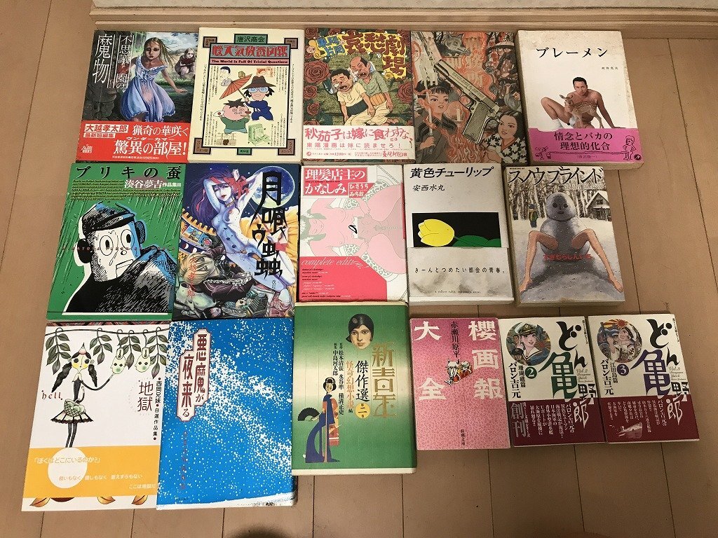 中古】大越孝太郎書籍2冊「天国に結ぶ戀」「不思議庭園の魔物」（共に