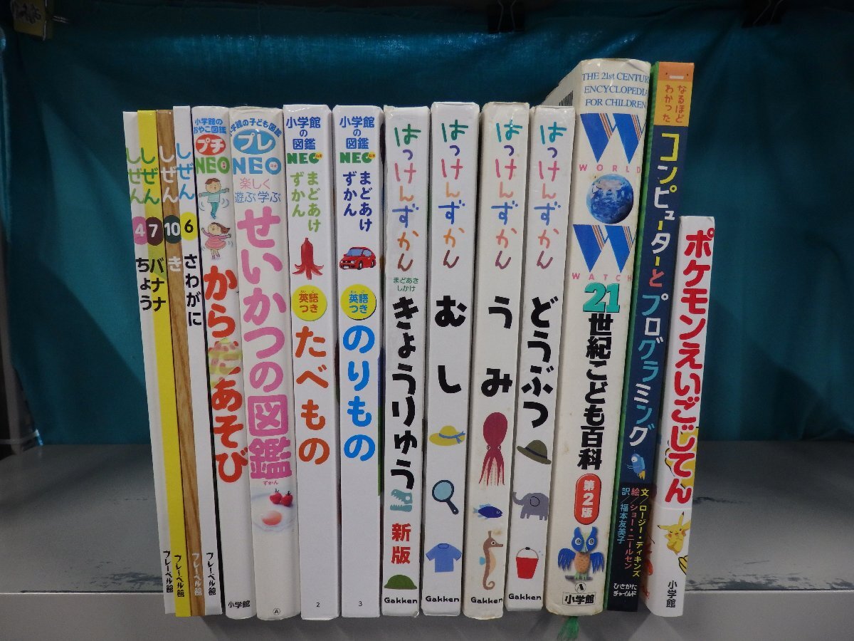 小学館 21世紀こども百科 第2版WOWワウ 絵本・児童書図鑑の落札情報