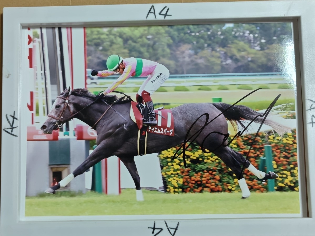 松岡正海騎手直筆サインパネル アルティマトゥーレ セントウル