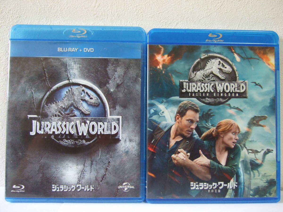中古】ブライス・ダラス・ハワード☆直筆サイン入り写真☆ジュラシック