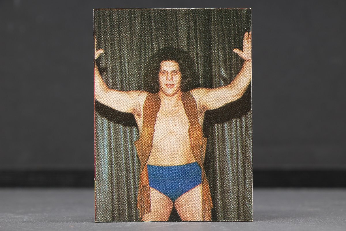 1981 ポピー スーパープロレスラーシリーズ アンドレ・ザ