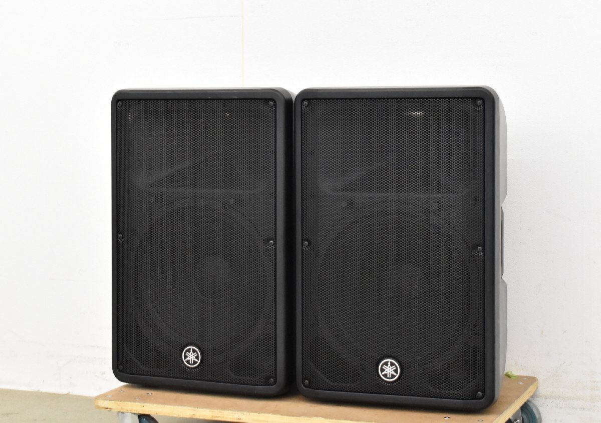 STRASSERアンプ内臓スピーカーTS-B100左右パワードスピーカーBBE搭載