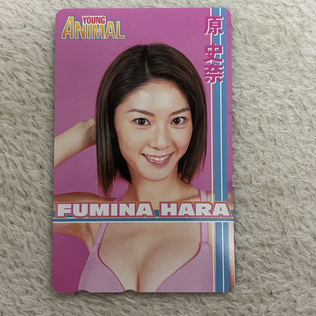 ゆA8710◇篠崎愛 【ヤングアニマル 2012 NO.17】付録(未開封 DVD)付