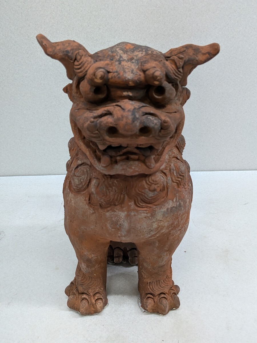 台湾 交趾焼 智盧 陶光 在銘 祥獅献瑞 獅子 シーサー 陶器 置物