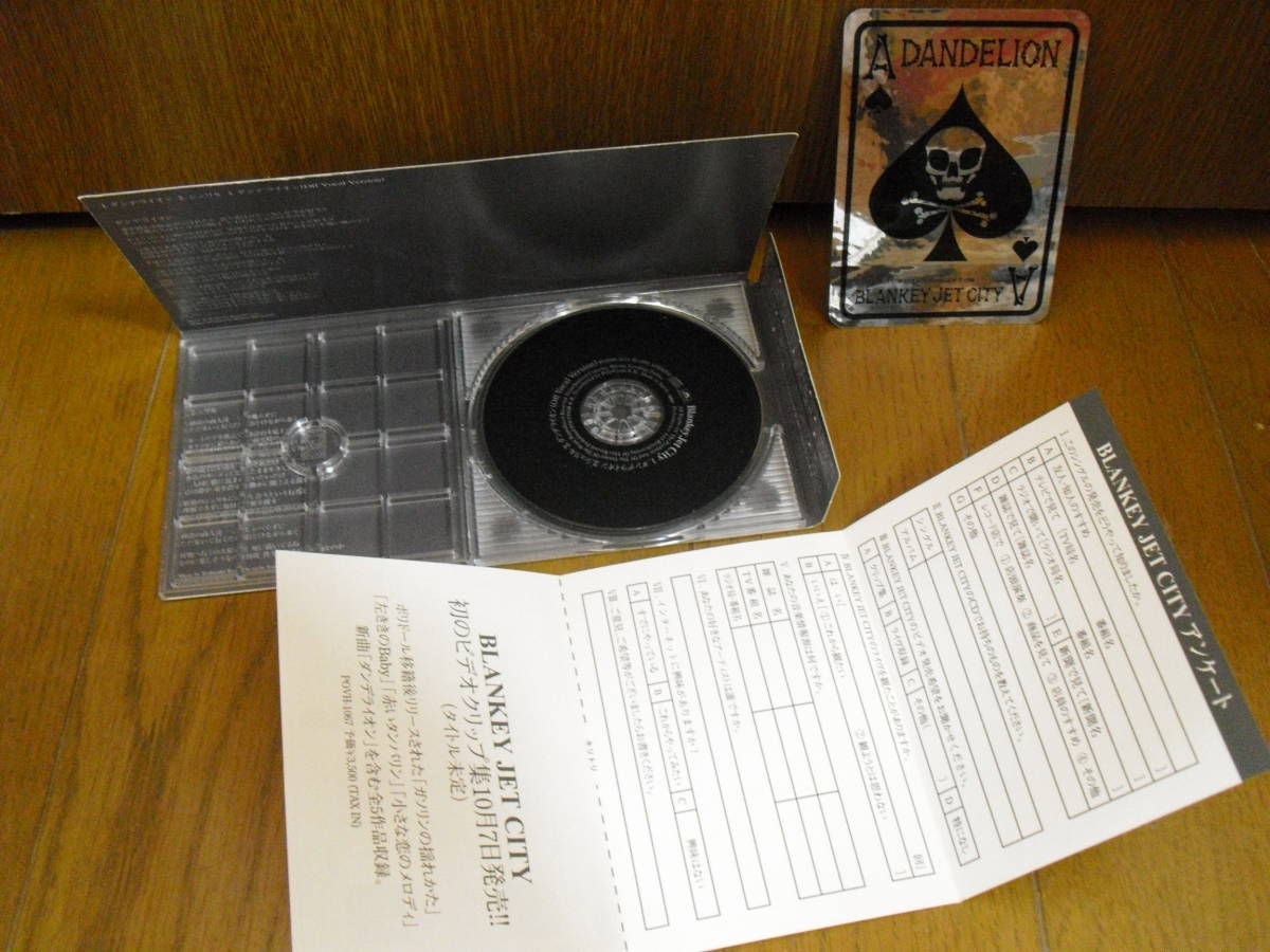 8cmcd ステッカー付 Blankey Jet City ブランキージェットシティ ダンデライオン シェリル インスト入り 浅井健一 Jude Sherbets 8cm の落札情報詳細 ヤフオク落札価格情報 オークフリー スマートフォン版