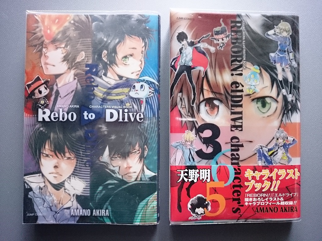 2冊セット Rebo To Dlive Reborn Eldlive Character S 365 天野明キャラクターズビジュアルブック イラストレーションブック の落札情報詳細 ヤフオク落札価格情報 オークフリー スマートフォン版