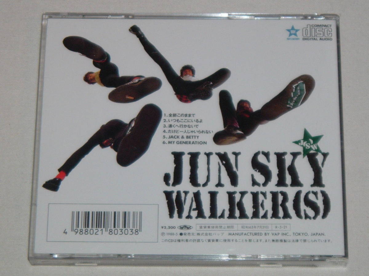JUN SKY WALKER（S）キーホルダー 寺岡呼人、森純太、ジュンスカ