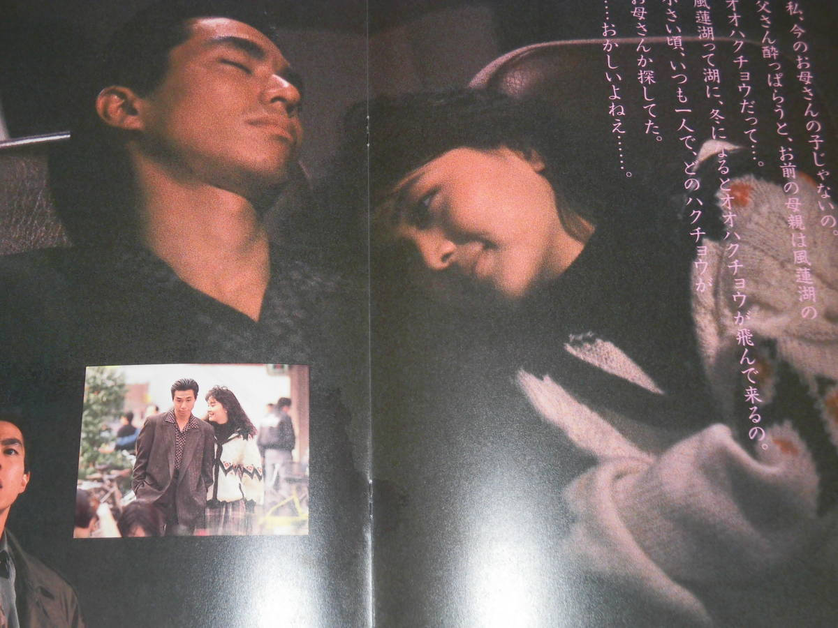 蛍 映画パンフ 1989年□柳葉敏郎 南果歩 布施博 辻沢杏子 小沢仁志