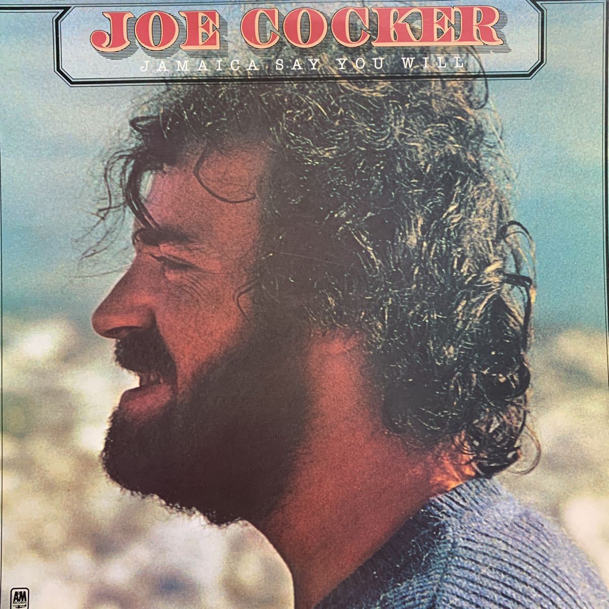 数量限定 特売 Joe Cocker 白プロモ Mono Stereo Put Out The Light Us盤 ジョー コッカー 灯りを消されて Www Isole Greche Com
