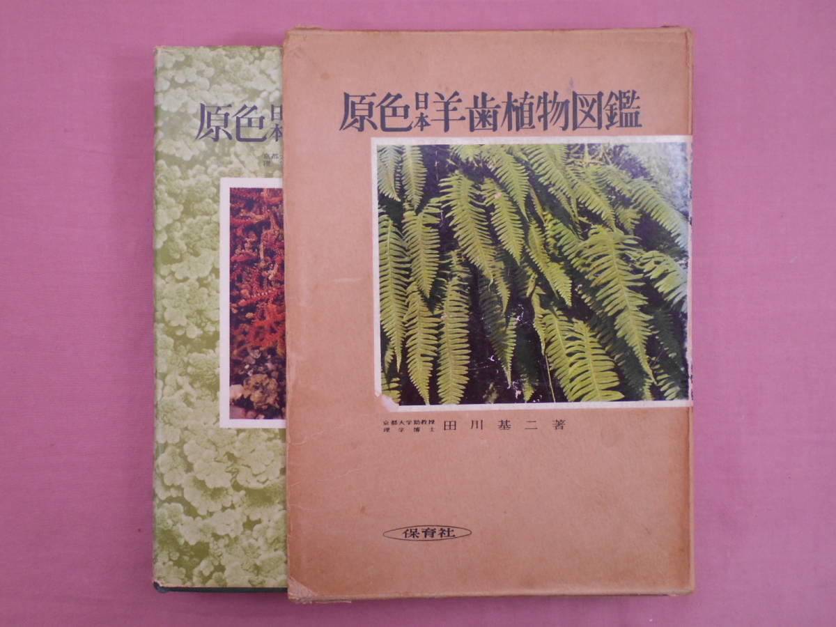 原色日本羊葉植物図鑑 田川基二 著 保育社 シダ植物 C19 1 の落札情報詳細 ヤフオク落札価格情報 オークフリー スマートフォン版 原色日本羊葉植物図鑑 田川基二 著 保育社 シダ植物 C19 1 の落札情報詳細 ヤフオク落札価格情報 オークフリー スマートフォン版