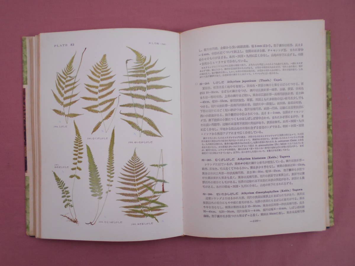 原色日本羊葉植物図鑑 田川基二 著 保育社 シダ植物 C19 1 の落札情報詳細 ヤフオク落札価格情報 オークフリー スマートフォン版