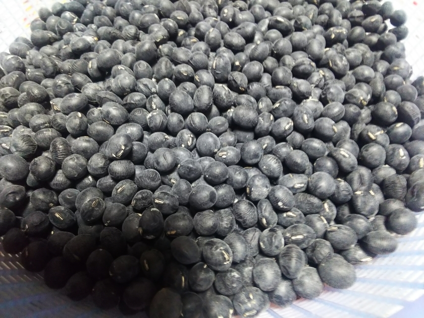 新品 安価 種豆にも 丹波黒豆品種奈良産 秀品 １合 １５０g の落札情報詳細 ヤフオク落札価格情報 オークフリー スマートフォン版