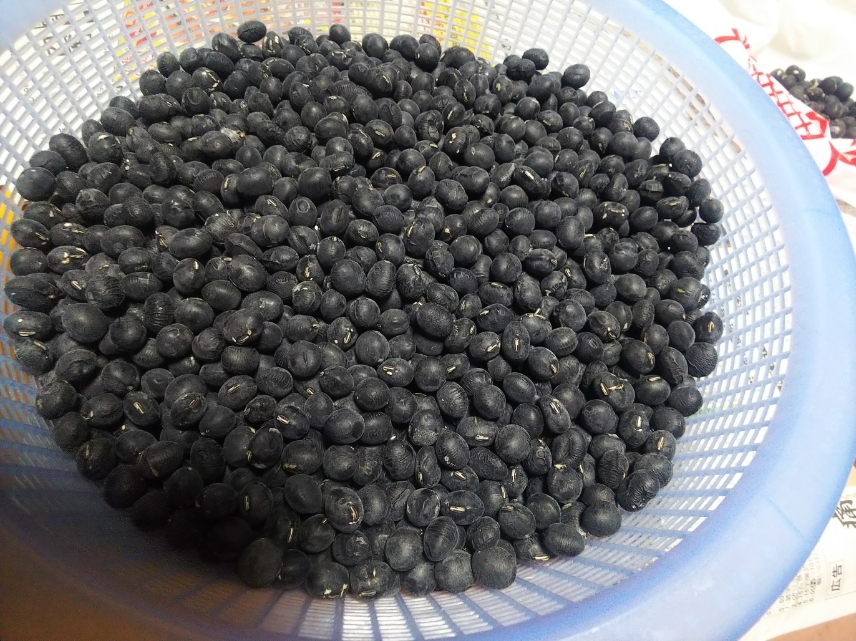 新品 安価 種豆にも 丹波黒豆品種奈良産 秀品 １合 １５０g の落札情報詳細 ヤフオク落札価格情報 オークフリー スマートフォン版