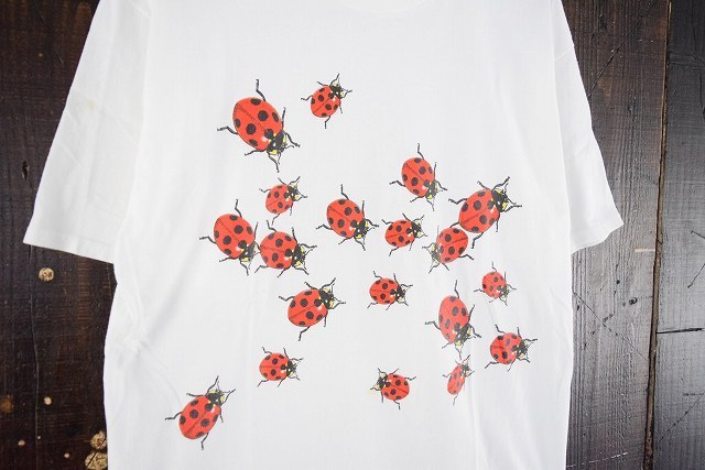 90's～ てんとう虫 イラストプリントTシャツ 古着 ビンテージ 昆虫