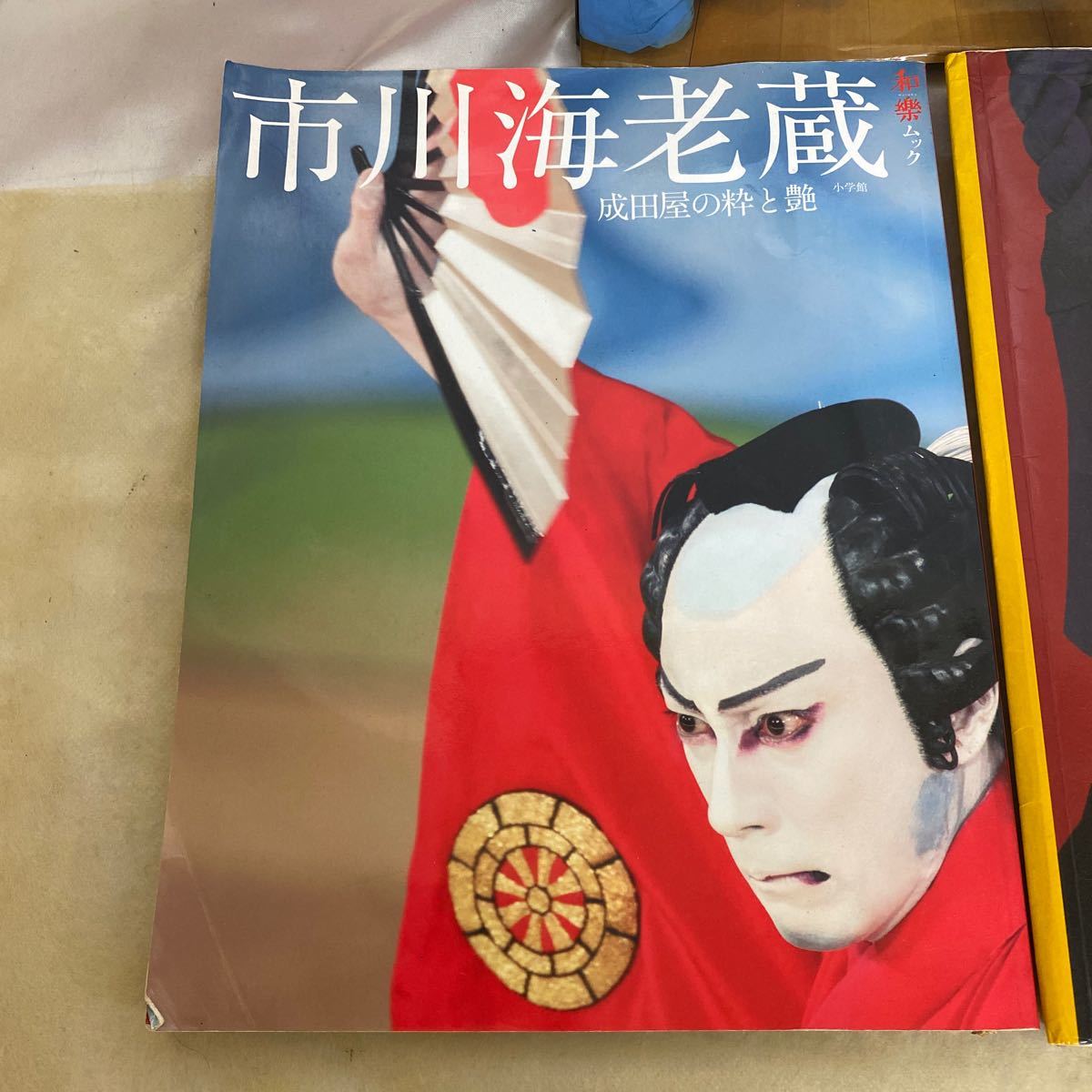 中古 歌舞伎 雑誌まとめ売り 5点 市川海老蔵 成田屋の粋と艶 11代目襲名記念写真集 古典への誘いdvd 源氏物語 ザ歌舞伎座 M 19 の落札情報詳細 ヤフオク落札価格情報 オークフリー スマートフォン版