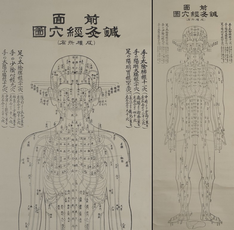 柳谷素霊　実用 鍼灸経穴図解 前後面 掛軸 前面鍼灸経穴図 掛軸 木版画 東洋医学 医学 あんま 針 の落札情報詳細