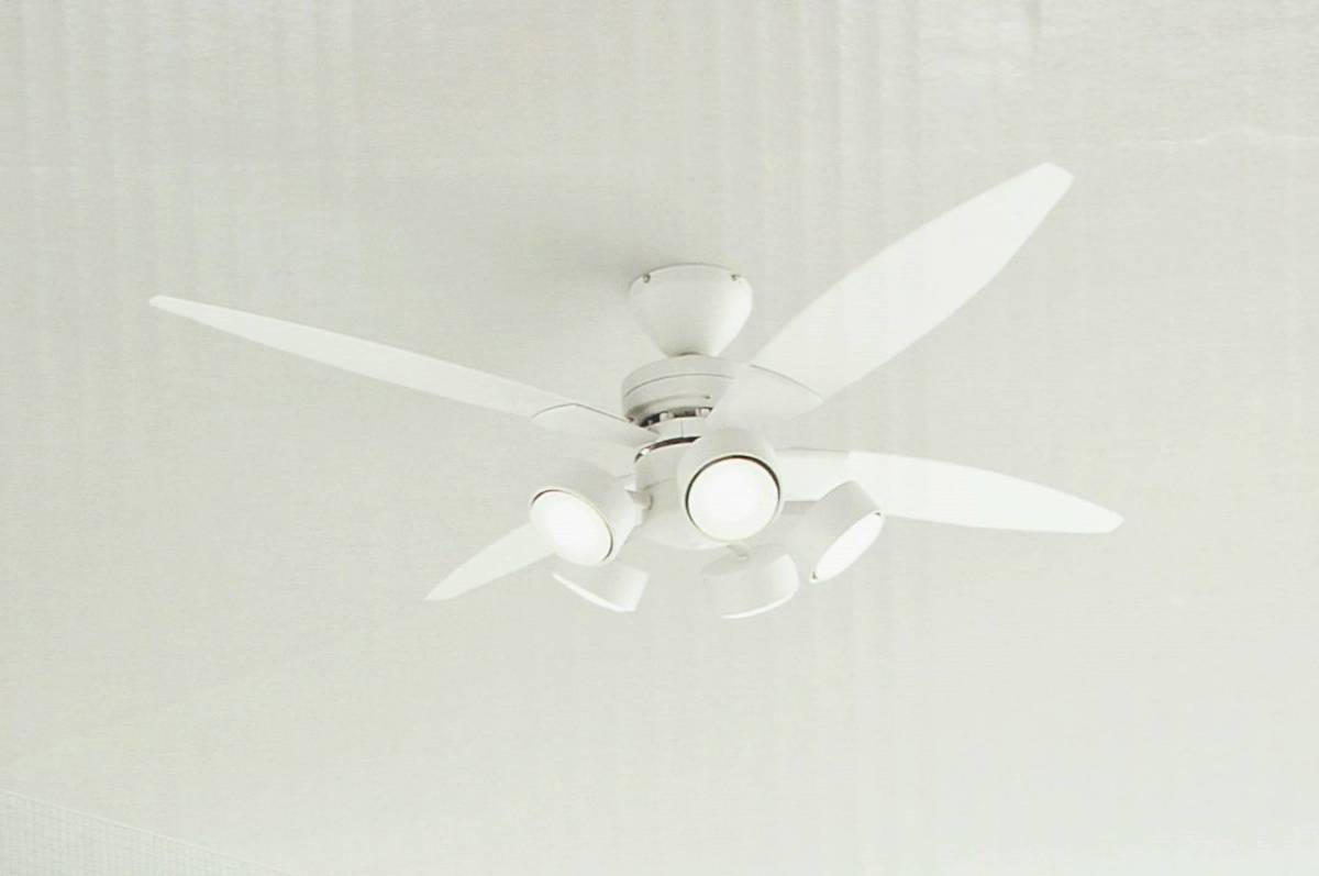 Rk0003 展示品 Daiko ダイコー シーリング ファンライト 5灯 Csf 580 年製 の落札情報詳細 ヤフオク落札価格情報 オークフリー スマートフォン版