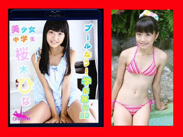 【侍】『源宗氏』落款 絹本着色「関羽張飛」画 時代古画掛軸　箱付 火の鳥NIPPON 佐藤美弥 チェキ Vリーグ 女子バレー