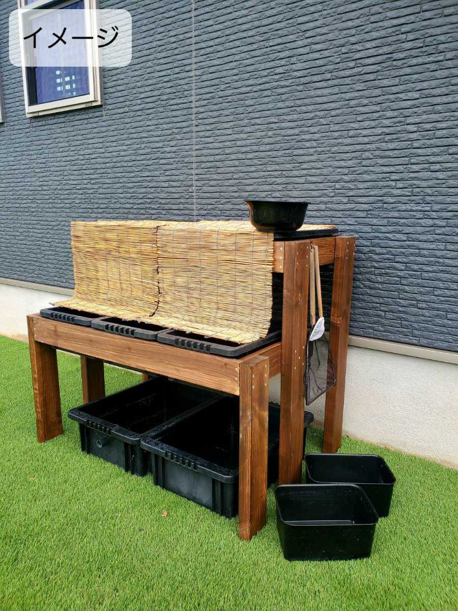 nvボックス13 メダカ メダカ 飼育容器 NV13ボックス黒 25個 NVボックス