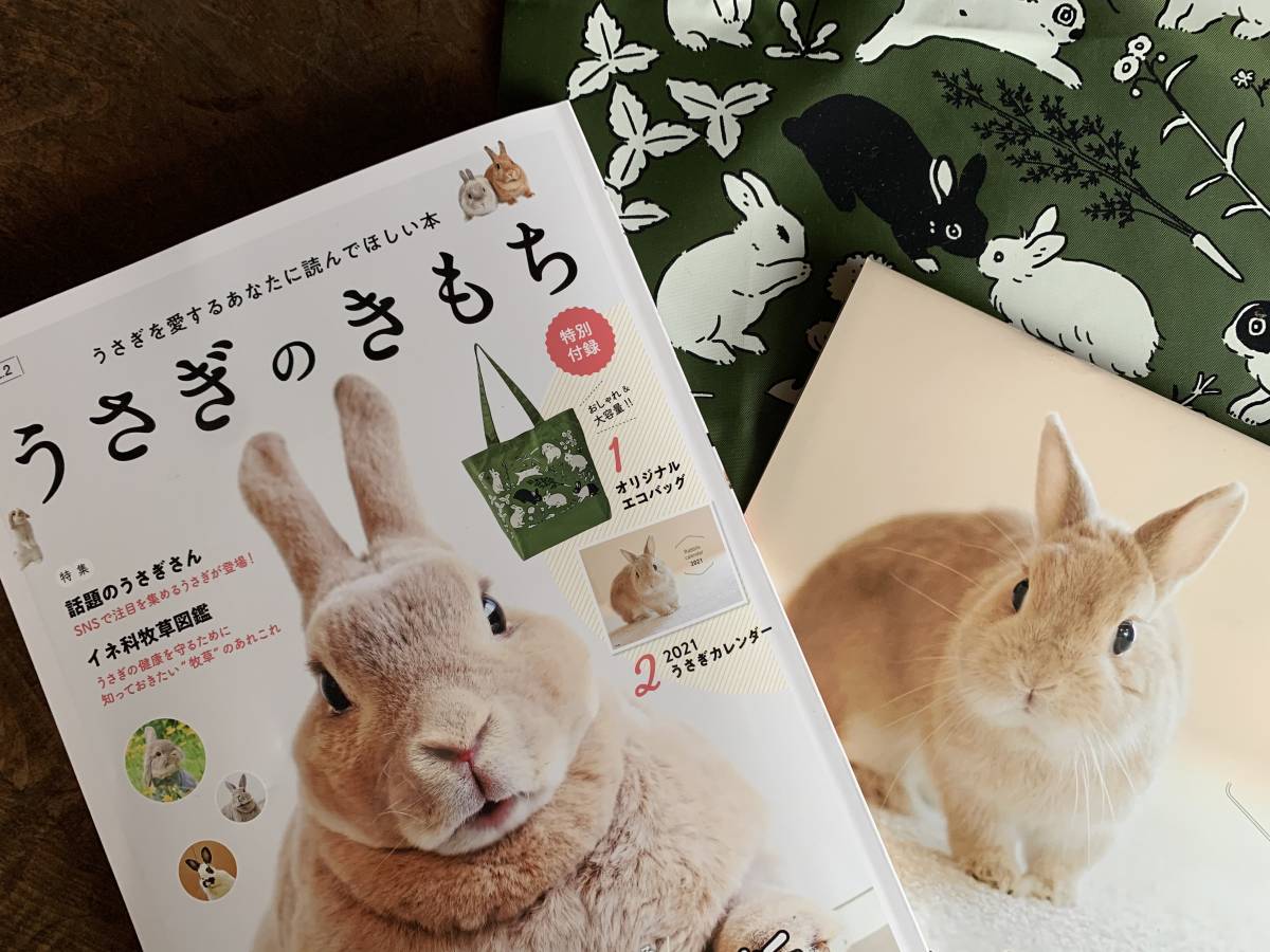 うさぎのきもち 未開封 Vol 2 エコバッグ 21カレンダー の落札情報詳細 ヤフオク落札価格情報 オークフリー スマートフォン版