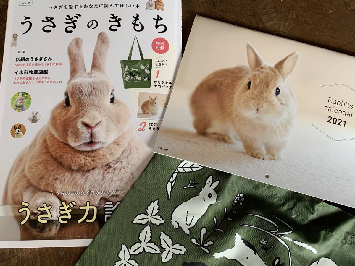 うさぎのきもち 未開封 Vol 2 エコバッグ 21カレンダー の落札情報詳細 ヤフオク落札価格情報 オークフリー スマートフォン版