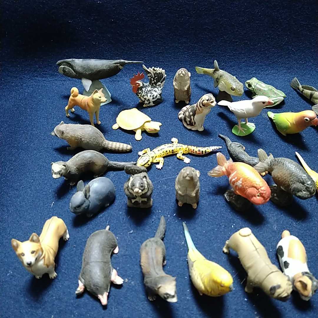 当時物 チョコエッグ 海洋堂 まとめて 50体以上 動物フィギュア の落札情報詳細 ヤフオク落札価格情報 オークフリー スマートフォン版