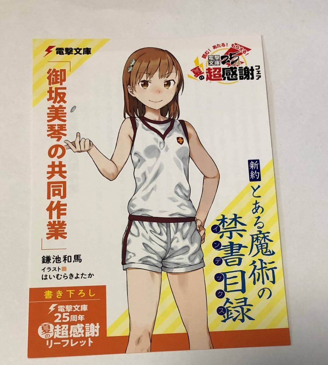 新品 新約 とある魔術の禁書目録 書籍特典 ｓｓリーフレット 御坂美琴の共同作業 の落札情報詳細 ヤフオク落札価格情報 オークフリー スマートフォン版