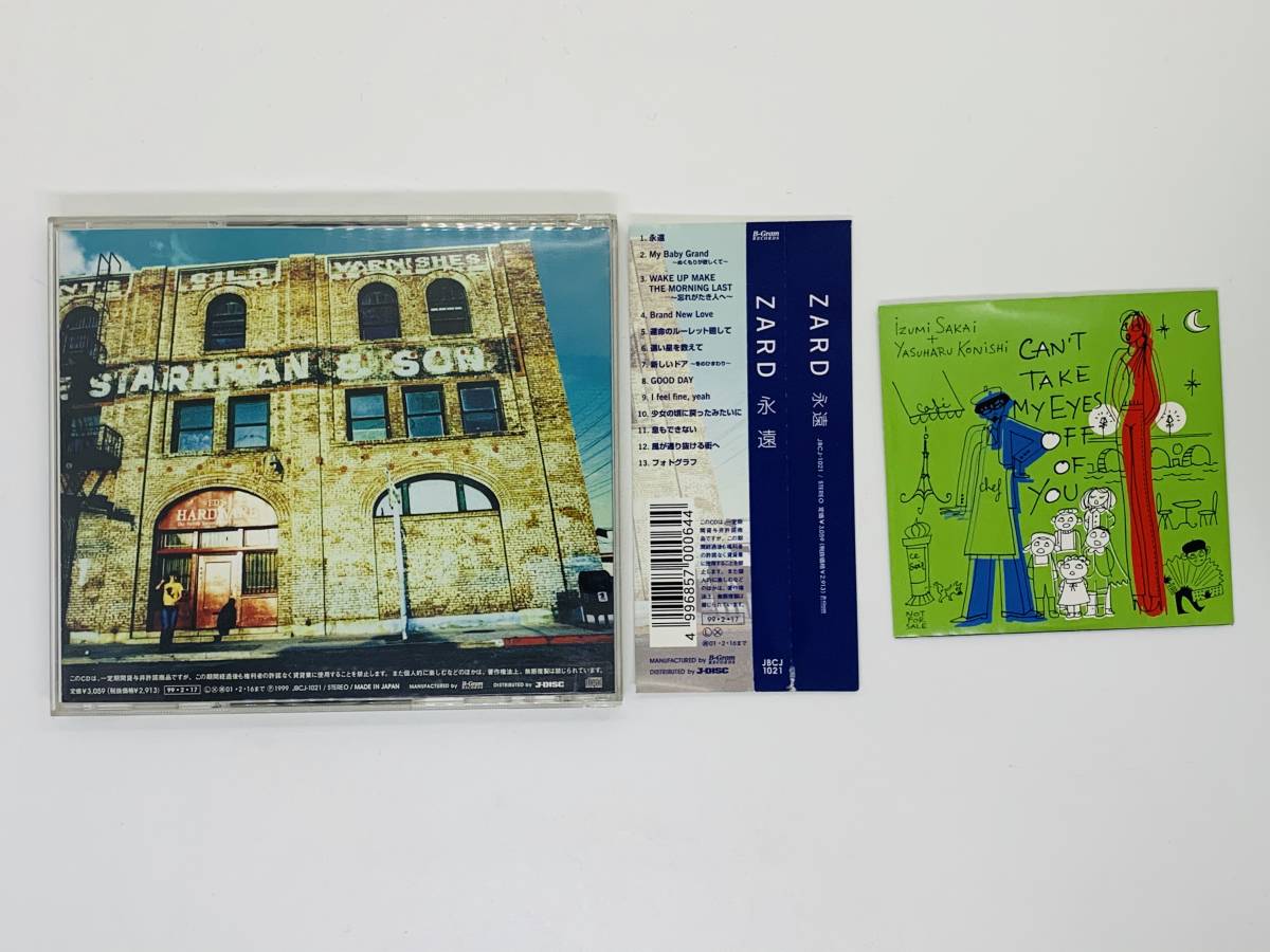 希少盤！/ZARD/坂井泉水/小西康陽/CAN`T TAKE MY EYES OFF OF