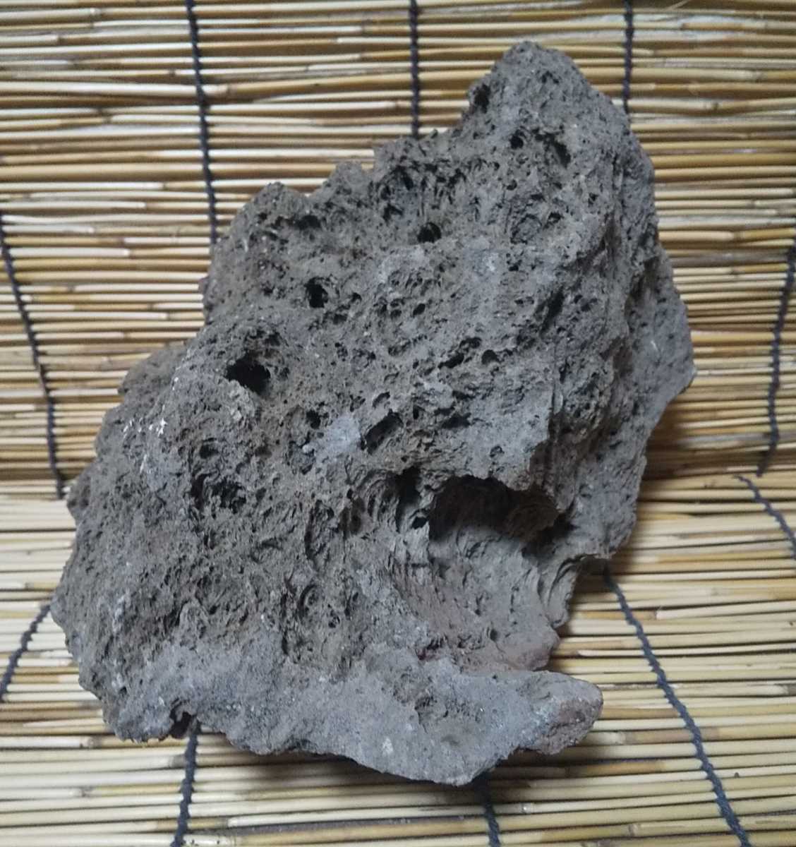 新品 未加工 軽石 付け石 山野草 盆栽 石付け盆栽 着生蘭 盆景 苔テラリウム 溶岩 石 鉢 の落札情報詳細 ヤフオク落札価格情報 オークフリー スマートフォン版