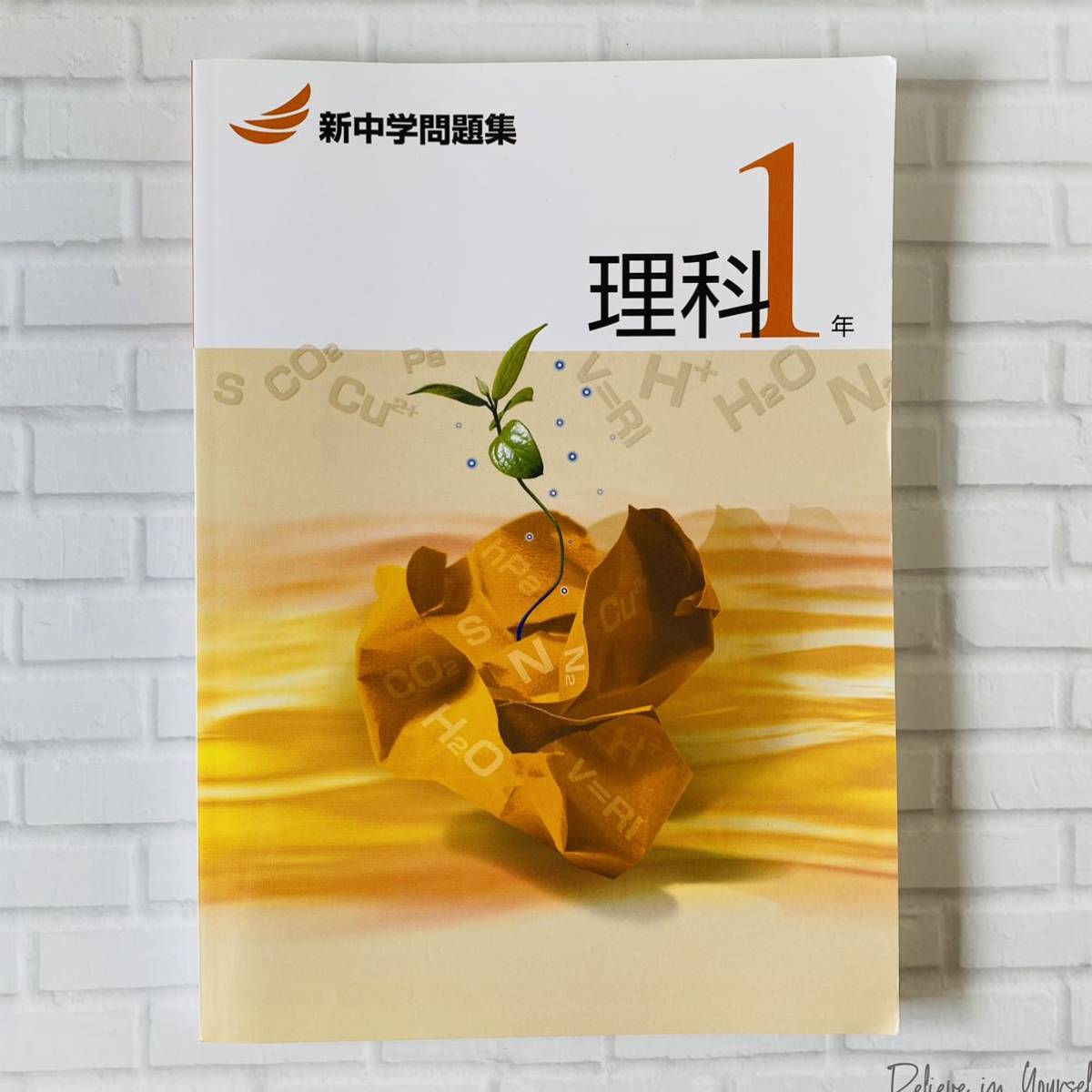 新中学問題集 理科１年 解答解説付き 塾専用教材 高校入試 高校受験 の落札情報詳細 ヤフオク落札価格情報 オークフリー スマートフォン版