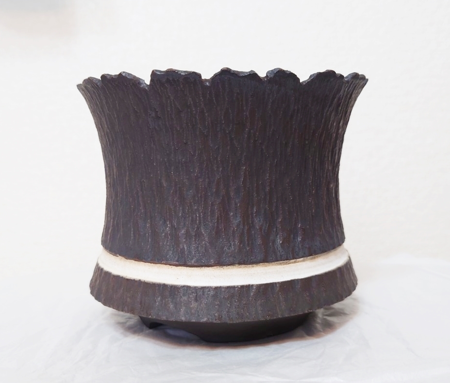 新品】新品 限定 GOUJIN × BOTANIZE ボタナイズ AK LINE pot 鉢 raw