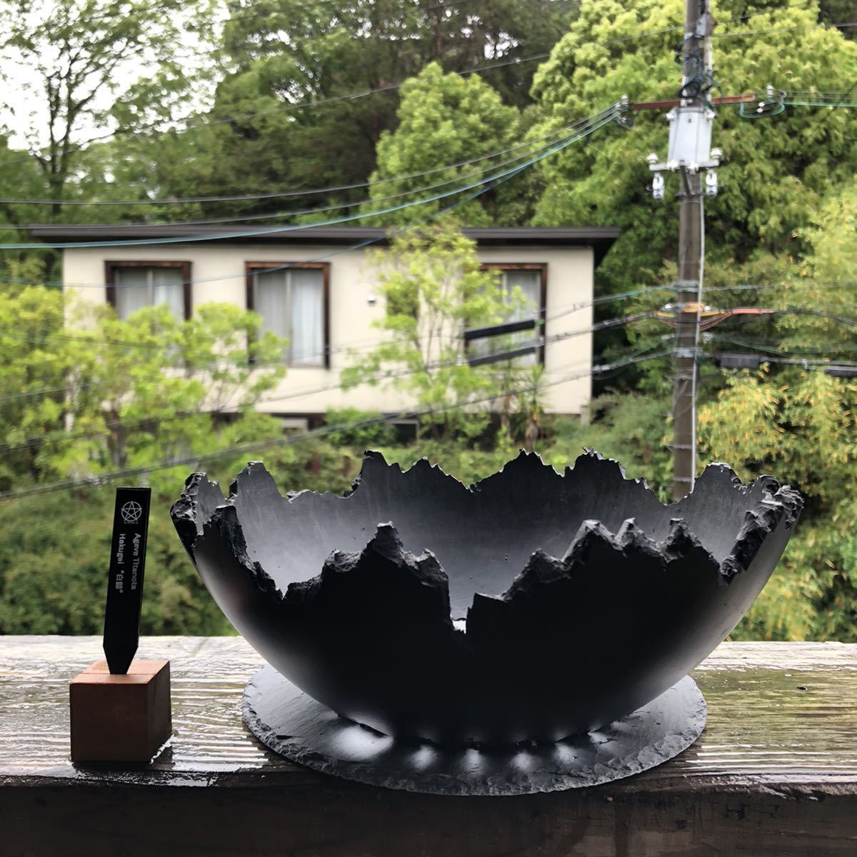 dragon eggs pot 植木鉢 （F.E.P. (Five Elements Plants