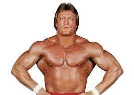 オークション購入品 ポール オーンドーフ Paul Orndorff Dvd6枚組 ミスターワンダフル の落札情報詳細 ヤフオク落札価格情報 オークフリー スマートフォン版 オークション購入品 ポール オーンドーフ Paul Orndorff Dvd6枚組 ミスターワンダフル の落札情報詳細 ヤフオク落札価格情報 オークフリー スマートフォン版