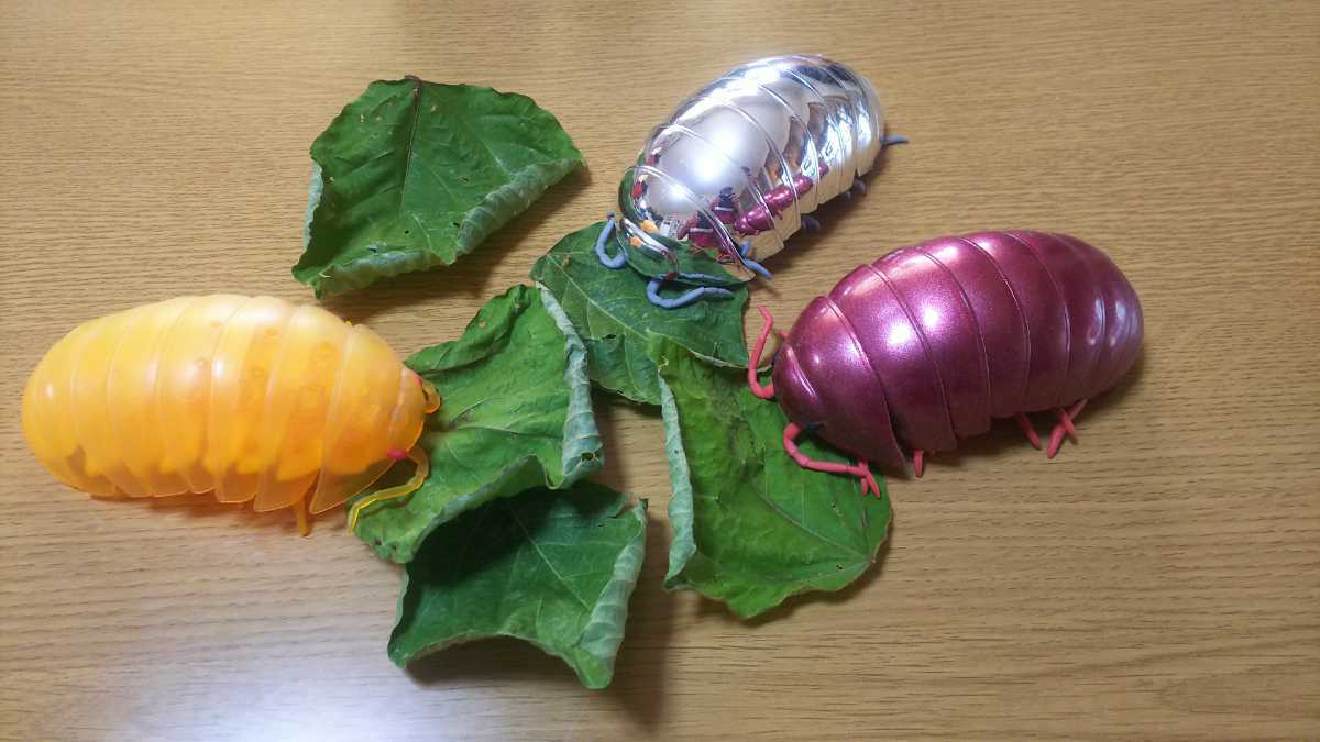 葛の葉 乾燥葉 100枚 ダンゴムシのエサ ワラジムシ キリギリス ウサギ モルモット テグー チンチラ リクガメ イグアナ の落札情報詳細 ヤフオク落札価格情報 オークフリー スマートフォン版
